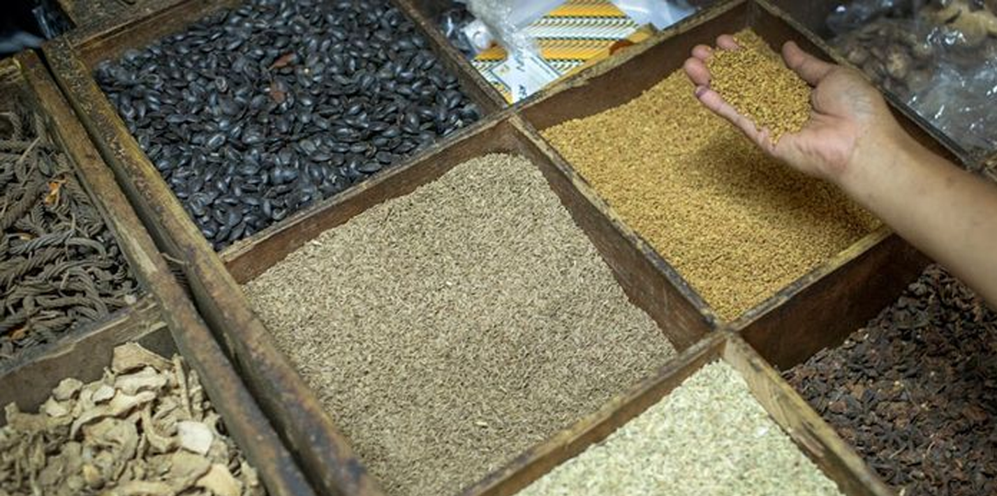 Potensi Ribuan Jenis Tumbuhan Rempah Obat Indonesia
